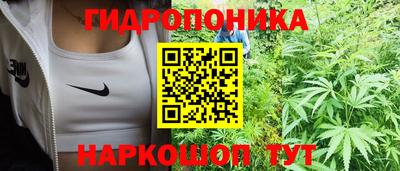 сатива Ликино-Дулёво