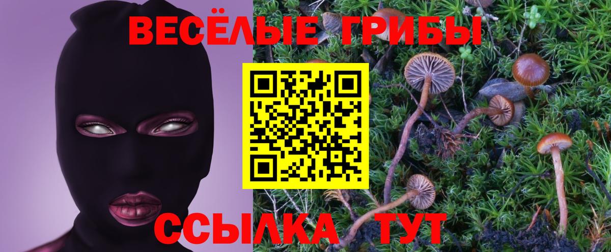 Галлюциногенные грибы MAGIC MUSHROOMS Черняховск